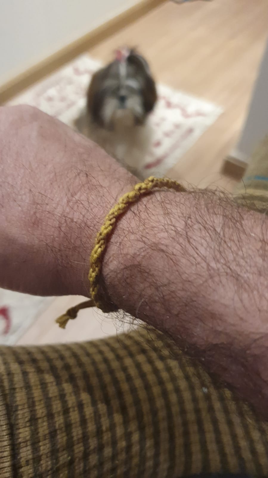 Pulseira amarela no pulso, Aurora ao fundo — combinou!